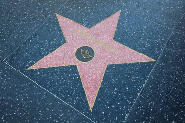 ABD, CALIFORNIA, HOLYWOOD - 29 Mayıs 2023: Hollywood, California 'daki Hollywood Şöhret Yolu' nda Idina Menzel yıldızı 