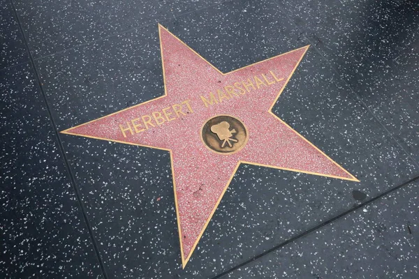 Usa California Hollywood May 2023 Herbert Marshall Star Hollywood Walk — Stock Photo, Image