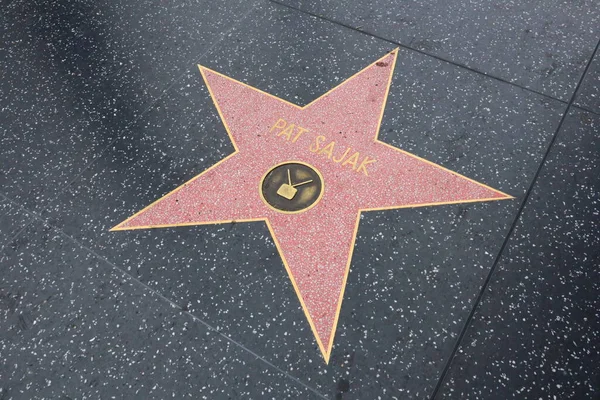 2023年5月29日 美国加利福尼亚州好莱坞名人步行街上的帕特 萨贾克明星 — 图库照片