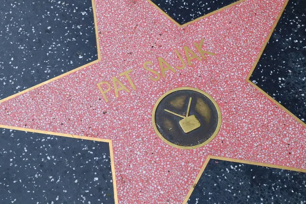 2023年5月29日 美国加利福尼亚州好莱坞名人步行街上的帕特 萨贾克明星 — 图库照片