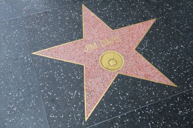 Hollywood (Los Angeles), Kaliforniya 29 Mayıs 2023: Hollywood Bulvarı 'nda Jim Davis' in Yıldızı
