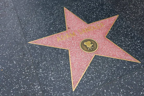 Hollywood Los Angeles Kalifornia Maja 2023 Gwiazda Adama Sandlera Hollywood — Zdjęcie stockowe