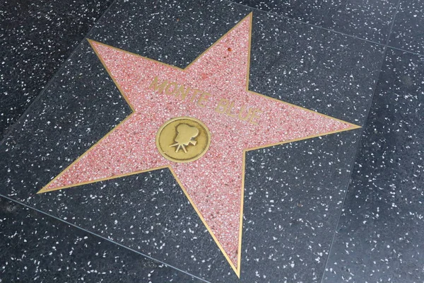 Голливуд Лос Анджелес Калифорния Мая 2023 Года Звезда Голубого Огонька — стоковое фото