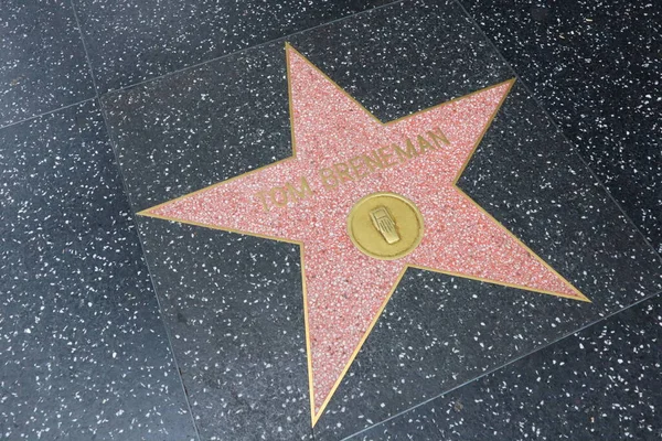Hollywood Los Angeles Californie Mai 2023 Étoile Tom Breneman Sur — Photo