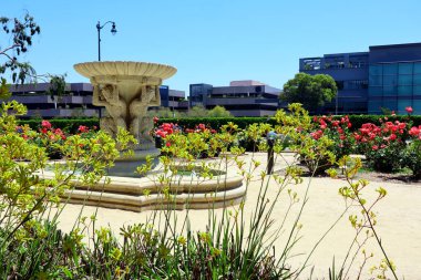 Beverly Hills, Kaliforniya 2 Temmuz 2023, Santa Monica Bulvarı yakınlarındaki Beverly Gardens Gül Bahçesi.