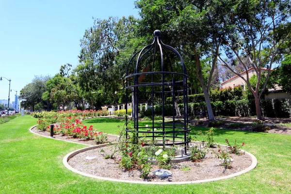 Beverly Hills Kalifornien Juli 2023 Beverly Hills Rose Garden Vid — Stockfoto