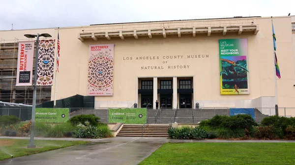 Los Angeles Californië Juni 2023 Los Angeles County Museum Natural — Stockfoto