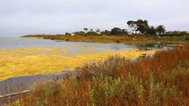 Malibu, California: Malibu Lagoon State Beach 'in detaylı görüntüsü