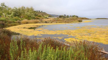 Malibu, California: Malibu Lagoon State Beach 'in detaylı görüntüsü