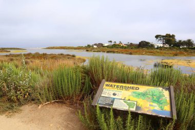 Malibu, Kaliforniya 1 Temmuz 2023 Malibu Lagoon State Beach 'in detaylı görüntüsü