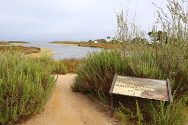 Malibu, Kaliforniya 1 Temmuz 2023 Malibu Lagoon State Beach 'in detaylı görüntüsü