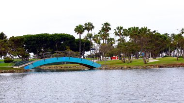 Long Beach, Kaliforniya 5 Haziran 2023 Gökkuşağı Göl Parkı Kuğu Teknesi Kiralama Kıyı Hattı ve Linden Bulvarı 'nın kuzeyinde.