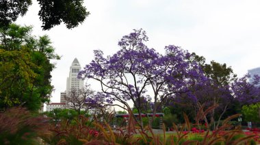 Los Angeles, Kaliforniya - 8 Haziran 2023: Los Angeles Şehir Merkezi 'nde bulunan Grand Park