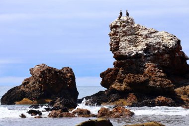 MALIBU (California), 20.000 Pasifik Sahili Hwy, Malibu 'da bulunan BIG ROCK BEACH' in detaylı görüntüsü