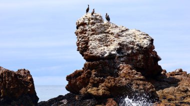 MALIBU (California), 20.000 Pasifik Sahili Hwy, Malibu 'da bulunan BIG ROCK BEACH' in detaylı görüntüsü