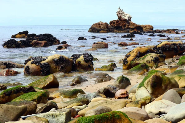 Malibu Califórnia Visão Detalhada Big Rock Beach Localizado 20000 Pacific — Fotografia de Stock