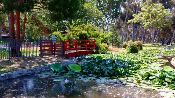 加利福尼亚州洛杉矶 肯尼斯哈恩州娱乐区的多丽丝日本花园 是加州的一个州立公园 位于洛杉矶鲍德温山脉 — 图库照片