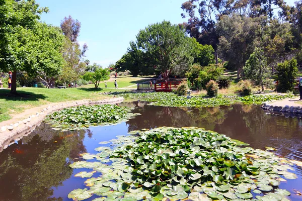 Los Angeles Kalifornien Doris Japanska Trädgård Vid Kenneth Hahns Fritidsområde — Stockfoto