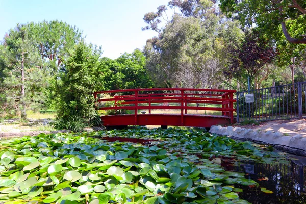 Los Angeles Kalifornien Doris Japanska Trädgård Vid Kenneth Hahns Fritidsområde — Stockfoto