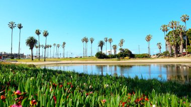 Playa del Rey (Los Angeles), Kaliforniya: Del Rey Lagoon Park Los Angeles Playa Del Rey mahallesinde 6660 Esplande Place