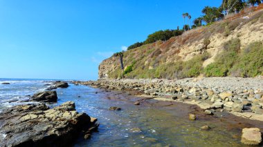 BEYAZ BEYAZ SAVAŞI, San Pedro (Los Angeles California) 