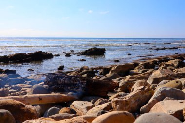 BEYAZ BEYAZ SAVAŞI, San Pedro (Los Angeles California) 