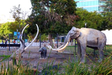 Los Angeles, California  October 13, 2023: Depiction of a prehistoric scene, where a wholly mammoth is stuck in the tar, is depicted at the La Brea Tar Pits in Los Angeles clipart