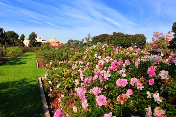 Los Angeles, Kaliforniya - 4 Kasım 2023: 701 State Dr, Los Angeles 'taki Park Rose Garden Sergisi