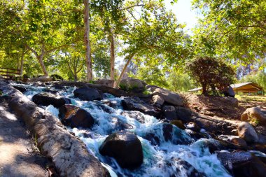 Los Angeles, Kaliforniya - 12 Ekim 2023: Echo Park Gölü, göl ve şehir parkı Los Angeles Echo Park Mahallesi