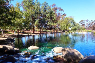 Los Angeles, Kaliforniya - 12 Ekim 2023: Echo Park Gölü, göl ve şehir parkı Los Angeles Echo Park Mahallesi