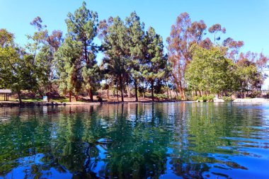 Los Angeles, Kaliforniya - 12 Ekim 2023: Echo Park Gölü, göl ve şehir parkı Los Angeles Echo Park Mahallesi