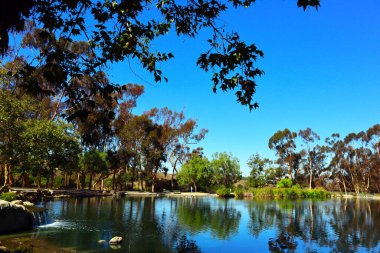 Los Angeles, Kaliforniya - 12 Ekim 2023: Echo Park Gölü, göl ve şehir parkı Los Angeles Echo Park Mahallesi