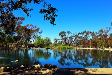 Los Angeles, Kaliforniya - 12 Ekim 2023: Echo Park Gölü, göl ve şehir parkı Los Angeles Echo Park Mahallesi