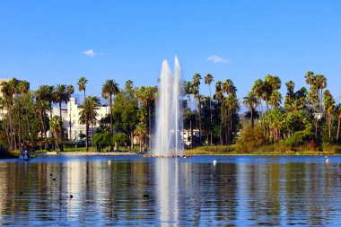 Los Angeles, Kaliforniya - 12 Ekim 2023: Echo Park Gölü, göl ve şehir parkı Los Angeles Echo Park Mahallesi