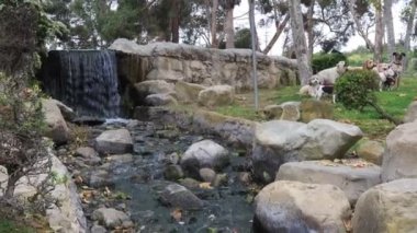 Los Angeles, Kaliforniya: Kenneth Hahn Eyalet Rekreasyon Bölgesi 'ndeki Doris Japon Bahçesi. Los Angeles 'ın Baldwin Hills Dağları' ndaki Kaliforniya Eyalet Parkı birimi.
