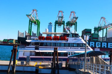 San Pedro, Los Angeles, Kaliforniya Limanı - 13 Ocak 2025: Catalina Express Feribot Limanı Los Angeles ve Catalina Adası