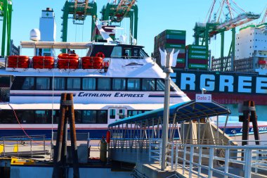 San Pedro, Los Angeles, Kaliforniya Limanı - 13 Ocak 2025: Catalina Express Feribot Limanı Los Angeles ve Catalina Adası