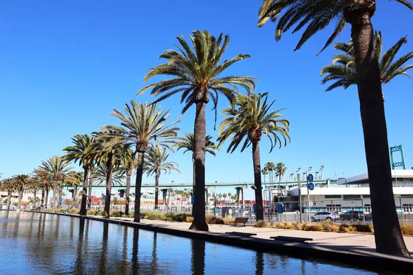 San Pedro, Los Angeles Limanı, Kaliforniya - 13 Ocak 2025 Gateway Plaza Fanfare Fountain