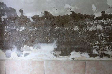 Şiddetli Su Hasarı ve Soyulmuş Sıva Köşe başındaki Lavabo ve Döşeme Duvarının yanında