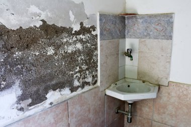 Şiddetli Su Hasarı ve Soyulmuş Sıva Köşe başındaki Lavabo ve Döşeme Duvarının yanında