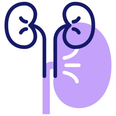 Böbrek simgesi, vektör çizimi basit tasarım