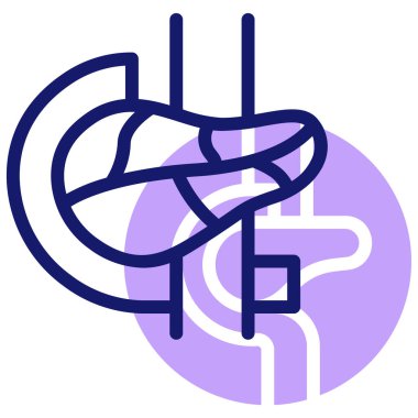 pankreas illüstrasyon web için vektör tasarımı