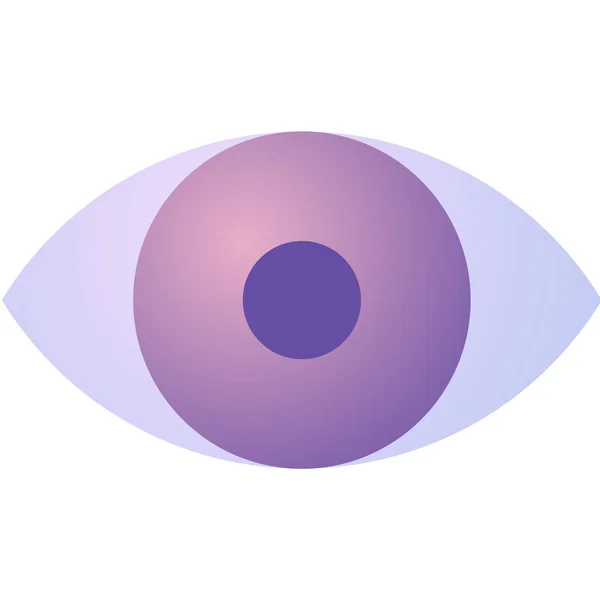 Retina Scan Icon Vector Illustration — Stock Vector