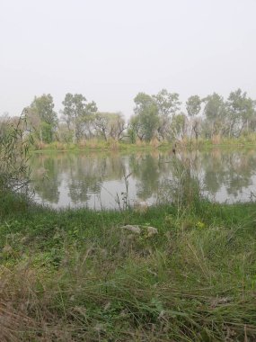 Nehrin su manzarası