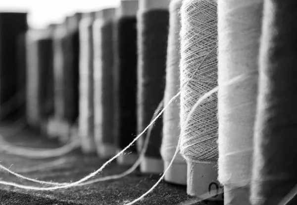 Black White Photo Sewing Threads Standing Row Close Threads — Stock Photo, Image