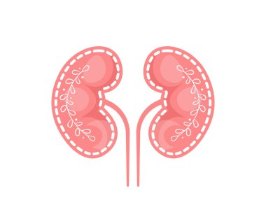 Human kidney with leaves branches vector icon isolated on white background clipart