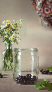 Frenk üzümü reçeli. Dikey hareket animasyonunu durdur. Kavanoz siyah üzümle doluyor, dönüyor ve reçele dönüşüyor.