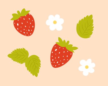 Çilek seti, böğürtlen, çiçek ve yapraklar. Düz çizgi film tarzında elle çizilmiş vektör klipsi. Tatlı yaz meyvesi