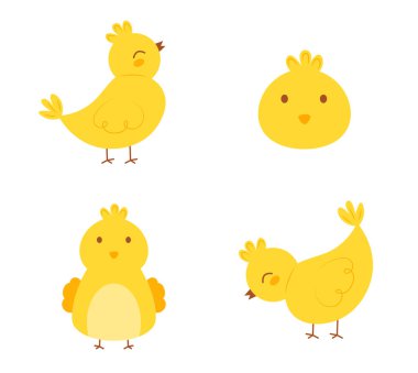 Set of cute Easter chicks isolated on white background. Vector character in hand drawn flat cartoon style. Funny Easter baby chicken clipart