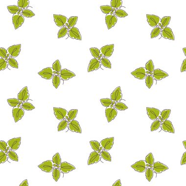 Green basil seamless pattern in one continuous line drawing style. Herbal Italian cuisine ingredient. Vector seamless pattern